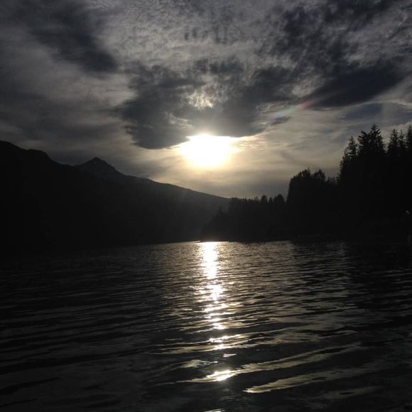 Meet your Posher, Ryder - Picture 1 of 1